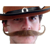 Moustache - Brown 'Outlaw'