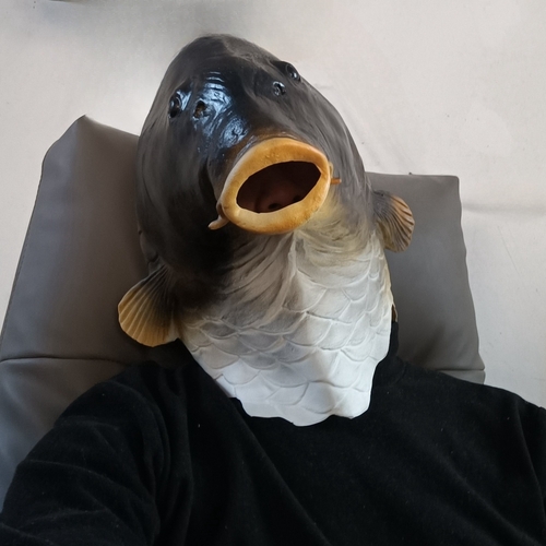 Latex Mask - Carp/Fish